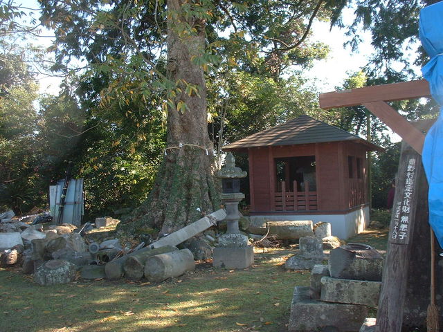 Ԃ񂳂̏򐅎Ղ̖q̓eʐ^3