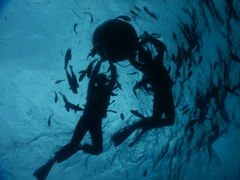 傤̃}T[rXނʁ[ւ̓eʐ^1