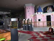 ���ʂ���������ȃA�~���[�Y�����g�����ق̓��e�ʐ^3