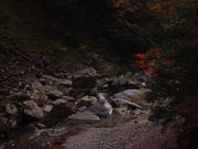 Ԃ񂳂̌ܖ،܉ƑkJ̓eʐ^2