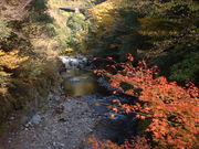 Ԃ񂳂̌ܖ،܉ƑkJ̓eʐ^3