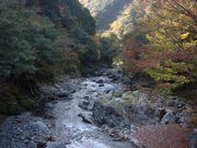 Ԃ񂳂̌ܖ،܉ƑkJ̓eʐ^4