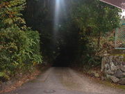 Ԃ񂳂̘[nǂiƉ~Ձj̓eʐ^1