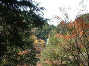 Ԃ񂳂̂񂾂񍌂̑̓eʐ^1