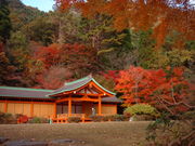 Ԃ񂳂̌܉ƑƂ̗̓eʐ^4