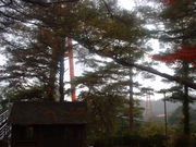 �Ԃ���񂳂�̂����ނ��Ǒ�苴�̓��e�ʐ^1