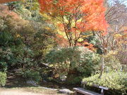 �Ԃ���񂳂�̍����Ƃ̓��e�ʐ^3