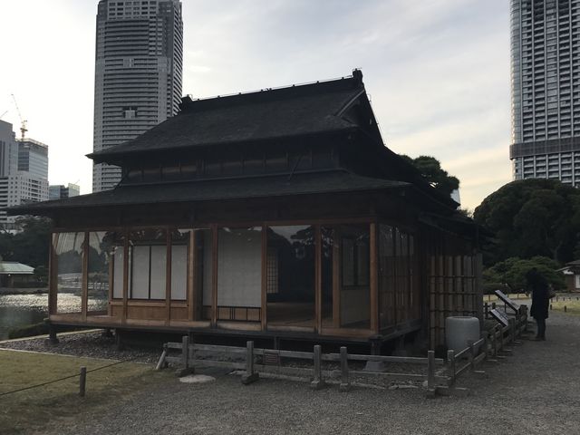 yl{`̌䒃z߂ÂƂȊ_̌䒃il{뉀j