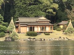 �߂̂�����̏��̌䒃���i�l���{�����뉀�j�ւ̓��e�ʐ^1