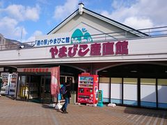 낳̓̉w ܂тقւ̓eʐ^1