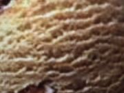 �}�J��������̃T�[�e�B�����A�C�X�N���[���C�I������X�̓��e�ʐ^1