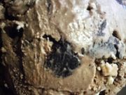 }J̃T[eBACXN[VwOXi31 Baskin-Robbinsj̓eʐ^1