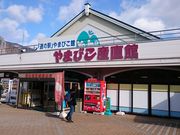 낳̓̉w ܂тق̓eʐ^1