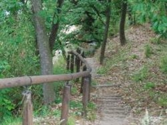 �A�N�Z���[���J�C����̏����V�����̓��e�ʐ^1