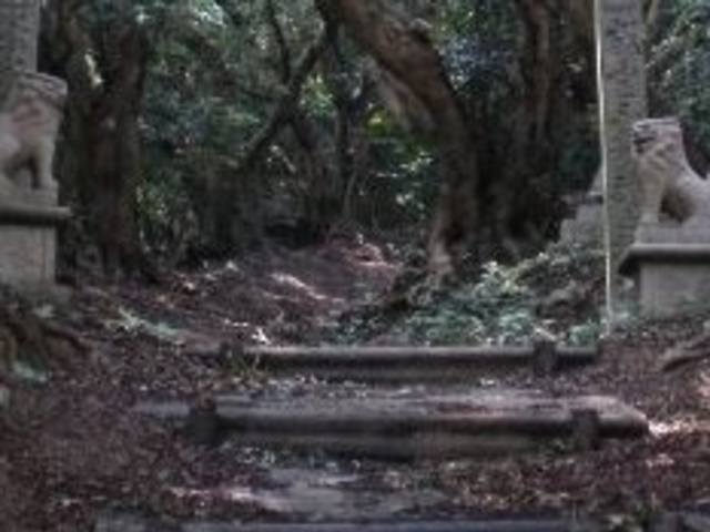 ANZ[JĈ܂݂̂̓eʐ^1