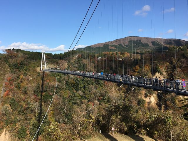 �������ł��������q��������������ł��B_��d�g���h��݋�