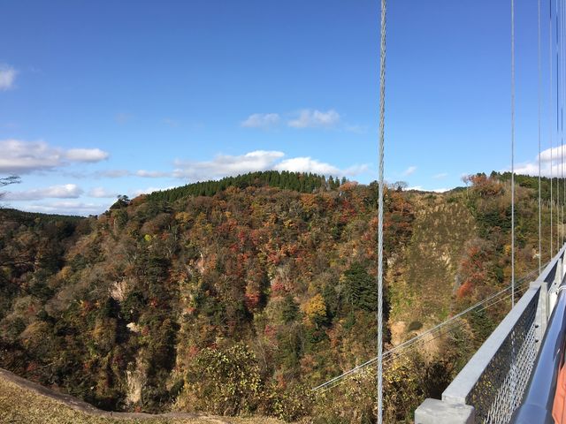 �g�t���Y���_��d�g���h��݋�