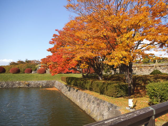 �ܗŊs�������D_�ܗŊs����