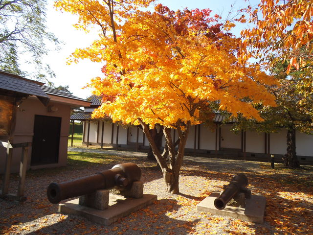 �ܗŊs������_�ܗŊs����