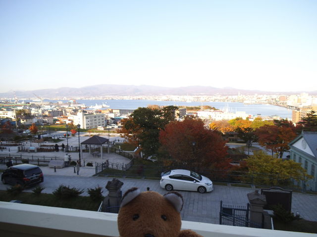 �Q�K�e���X����̒���_�����ً���