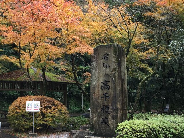 �g�t���Y��ł����B_����䋬