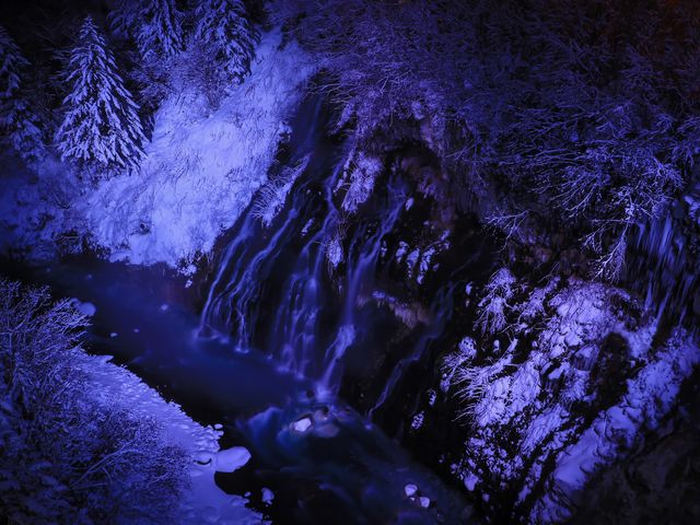 -�W�x�A20���߂����ł��B�����܂���_���Ђ��̑�