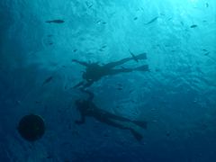 ނނ̃}T[rXނʁ[ւ̓eʐ^1