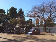 ʎ{q@TC{NK[f΂̂Ђ΂̎ʐ^1