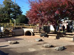 킽̍ʎ{q@TC{NK[f΂̂Ђ΂ւ̓eʐ^2