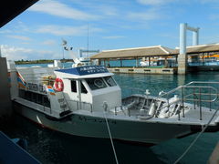 Ԃ񂿂񂳂̔dRόtF[ւ̓eʐ^1