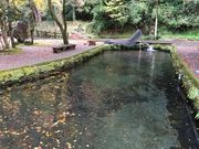 poporon̍䋬ڂ̓eʐ^1