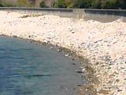 ANZ[JC̐{mC݂̓eʐ^1