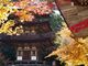 zunzuさんの西明寺の紅葉への投稿写真4