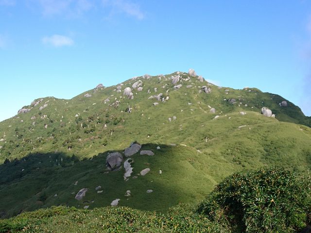 �{�V�Y�x_�{�V�Y�x