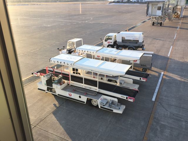 {[fBOubWłBbZ[WɎv킸p`B_Hsόēi񂿂傤H`j