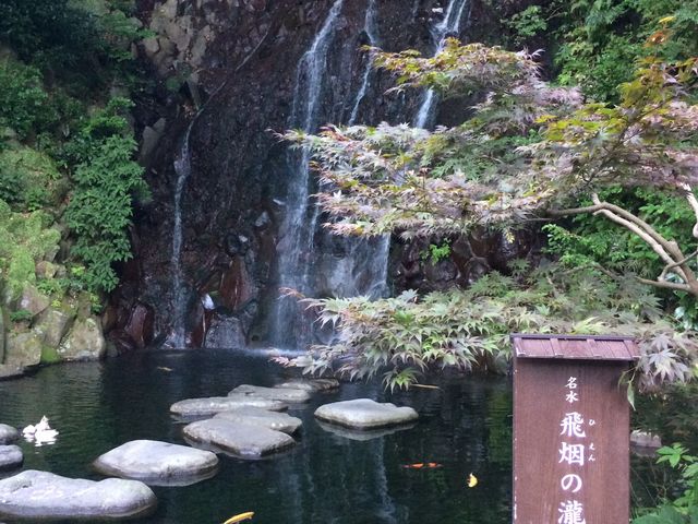 ���|�̑�_���|�̑�