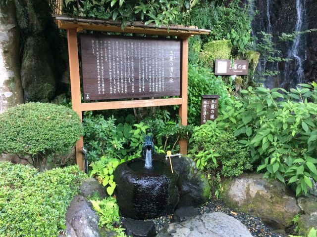 �ʗ��̗N����_���|�̑�