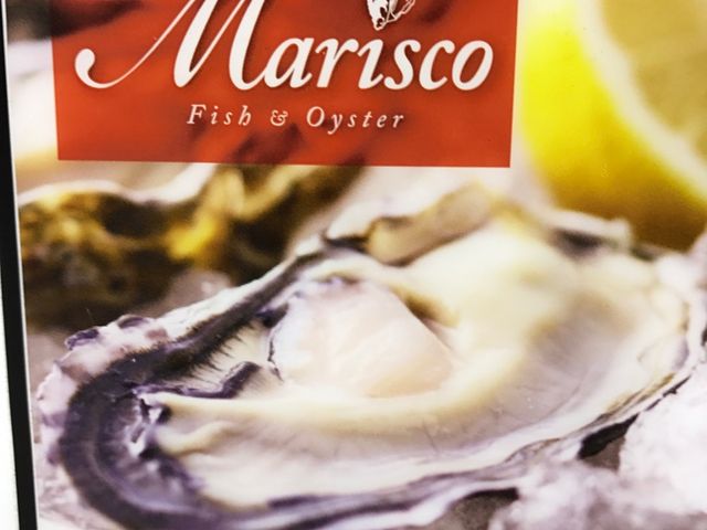 wÕ[\̃r_}XR Marisco XpjbV&ICX^[