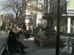 ӂ񂳂̋iEJtF@Tqւ̓eʐ^1