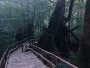 ̉vRx{сiNXMhj̓eʐ^1