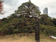 ߂̂̈iΐyj̓eʐ^1