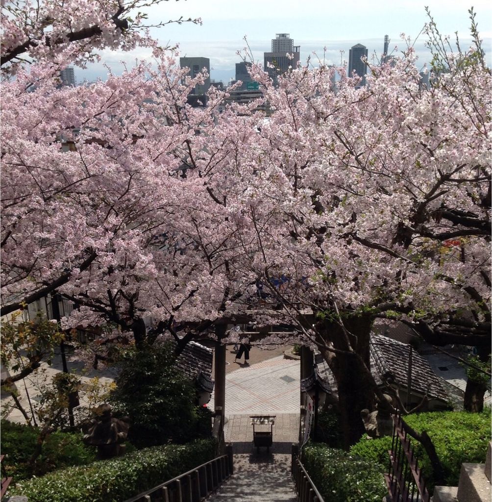 北野天満神社 アクセス 営業時間 料金情報 じゃらんnet