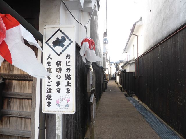 ���킢���Ŕ��B_���䔒�ǂ̒�����