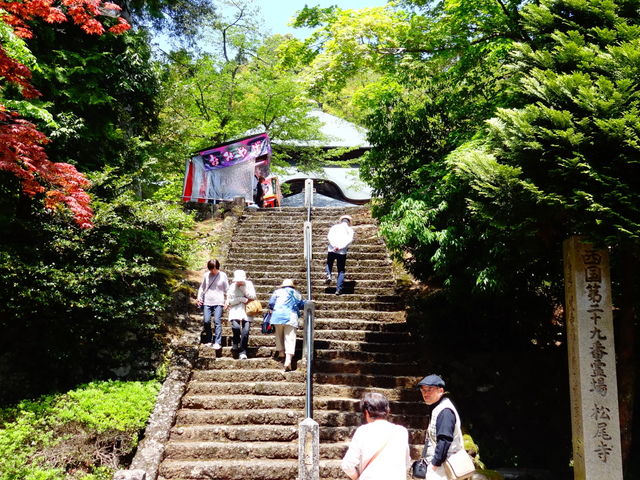 ������_������