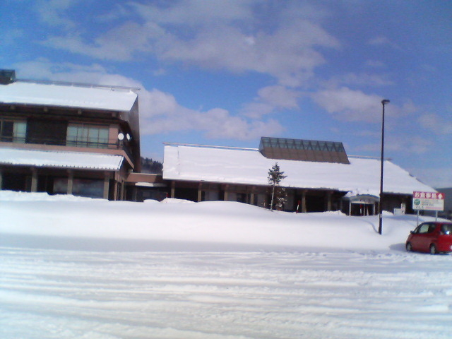 ���y��2_��������u���y���v