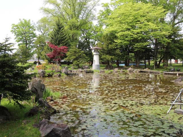 �뉀_�k�C���썑�_��