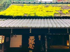 ���䂳��̕��쉮�ւ̓��e�ʐ^1