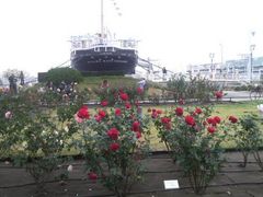 Ƃ񂳂̓{XDXۂւ̓eʐ^1