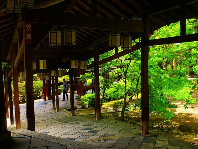 �����͍L���A�h���}�`�b�N�ȉ�L������܂��B_���@�R�ݕ���