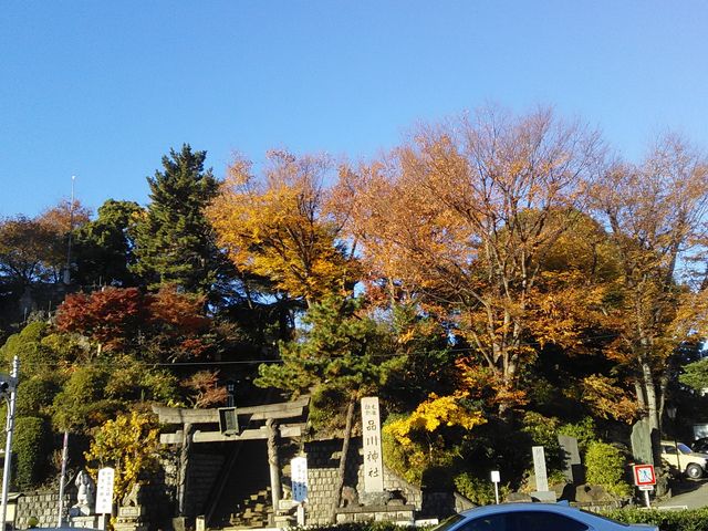 ���̍g�t_�i��_��